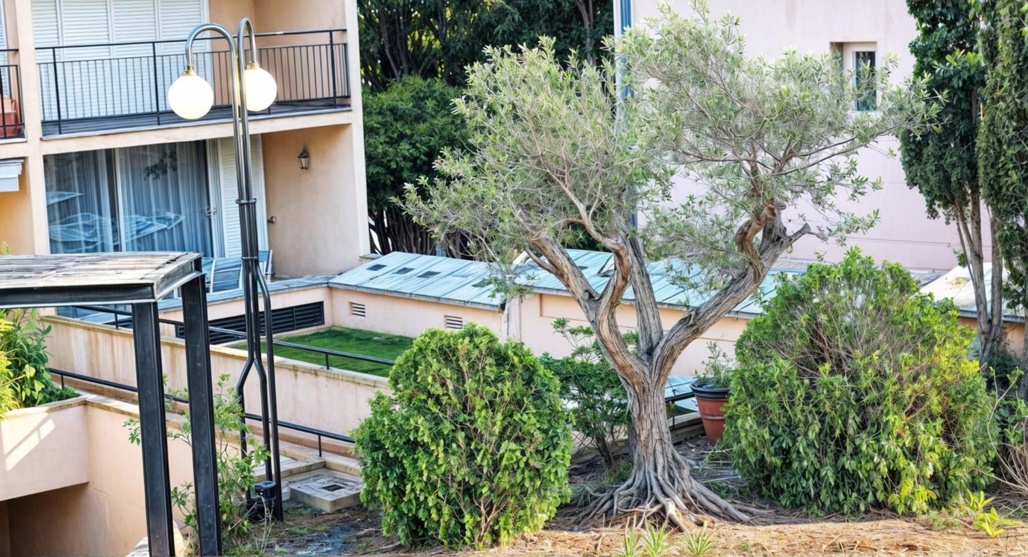 Precioso apartamento Reformado en 1a linea de mar sin vistas Calella De Palafrugell Habitación foto